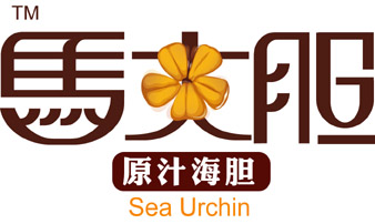 大连辽南海品马大胆标志设计 大连辽南海品马大胆标志设计
